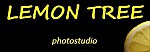 Каталог фотостудий Москва / Фотостудия Lemon Tree 