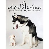 Фотостудия animalStudio  