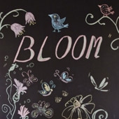 Фотостудия BLOOM  