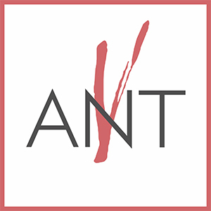 Каталог фотостудий Москва / Фотостудия ANT-V